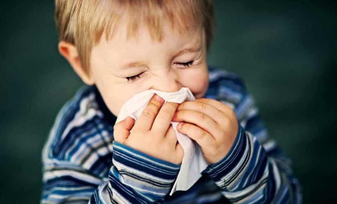¿Qué es la alergia estacional en los niños? ¿Se mezcla con el frío? ¿Qué es bueno para las alergias estacionales?