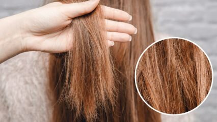 ¿Qué se le hace al cabello ardiente del medio? ¿Cómo se debe mantener el cabello tratado?