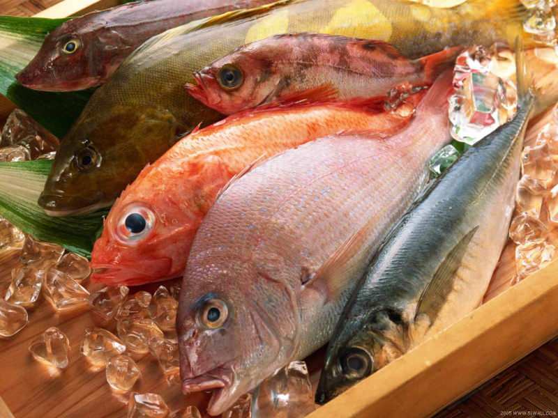 Consejos para elegir pescado fresco del jurado de Masterchef Mehmet Chef