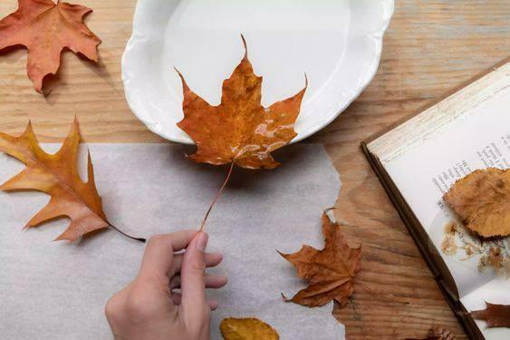 Hacer cuencos decorativos con hojas.