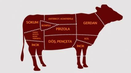 ¿Cuáles son las partes de la carne de res? ¿Qué carne se corta de qué región?