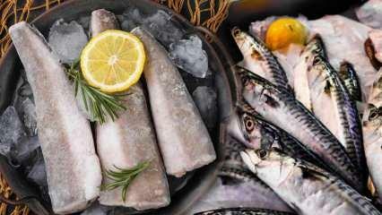 ¿Cómo se almacena el pescado? ¿Cuáles son los trucos para mantener el pescado en el congelador?