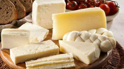 ¿Cómo se almacena el queso? Cómo mantener el queso del refrigerador
