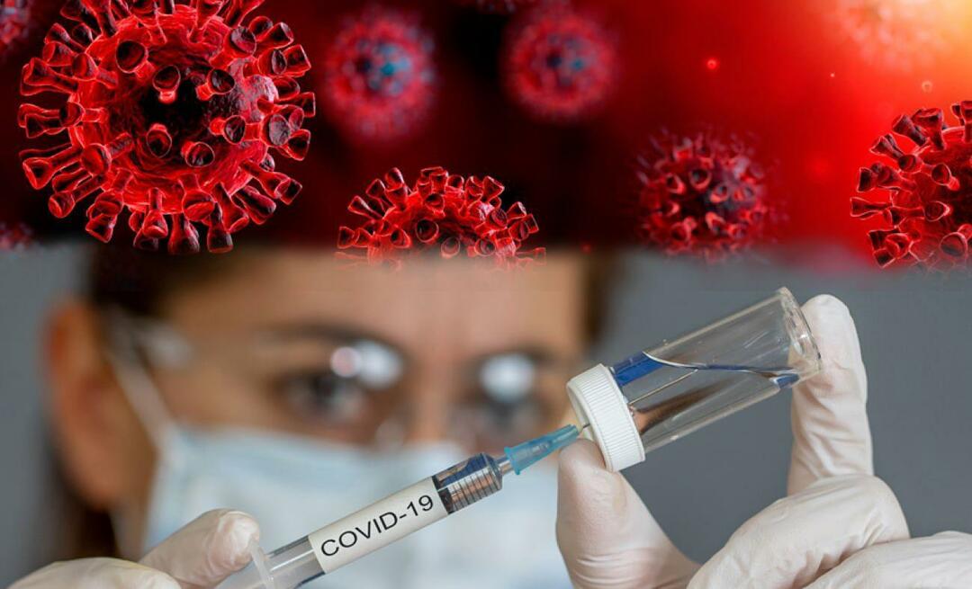 ¿Está dentro del derecho de las personas no vacunarse contra enfermedades epidémicas? Anunciada la Presidencia de Asuntos Religiosos