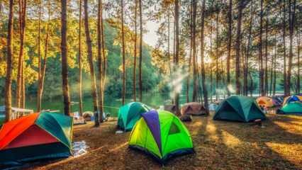 ¡Las mejores rutas de camping para el otoño! Las zonas de acampada más bonitas donde montar una tienda de campaña en otoño