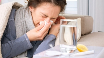 ¿Cuáles son los alimentos que son buenos para los resfriados y la gripe? 5 alimentos que previenen la gripe ...