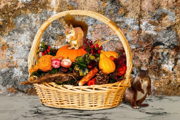 ¡5 objetos que agregarán belleza a tu hogar en otoño!