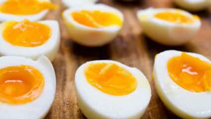 ¿Cómo se debe almacenar el huevo cocido? Consejos para hervir huevos ideales