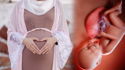 Oraciones que deben leerse para mantener al bebé sano durante el embarazo y los recuerdos de los deseos de Huseyin.