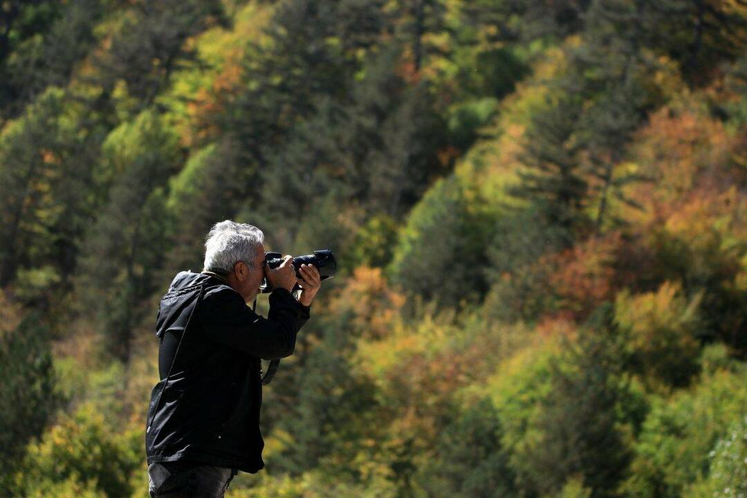 Montaña Ilgaz: todos los colores del otoño están aquí