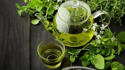 ¿Cuáles son los beneficios del té verde? ¿Cómo beber té verde perderá peso? Adelgazamiento rápido y saludable con dieta de té verde