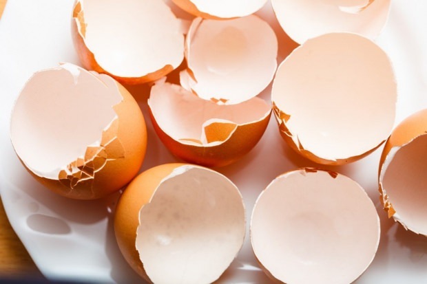 tratamiento de caries con cáscara de huevo