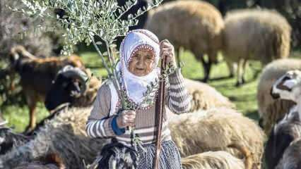 ¡La tía Fatma ha sido pastora en las estribaciones de las montañas Amanos durante medio siglo!