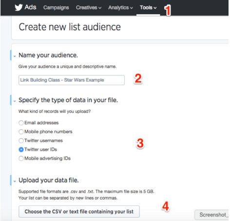 crear una audiencia personalizada para la lista de influencers de twitter