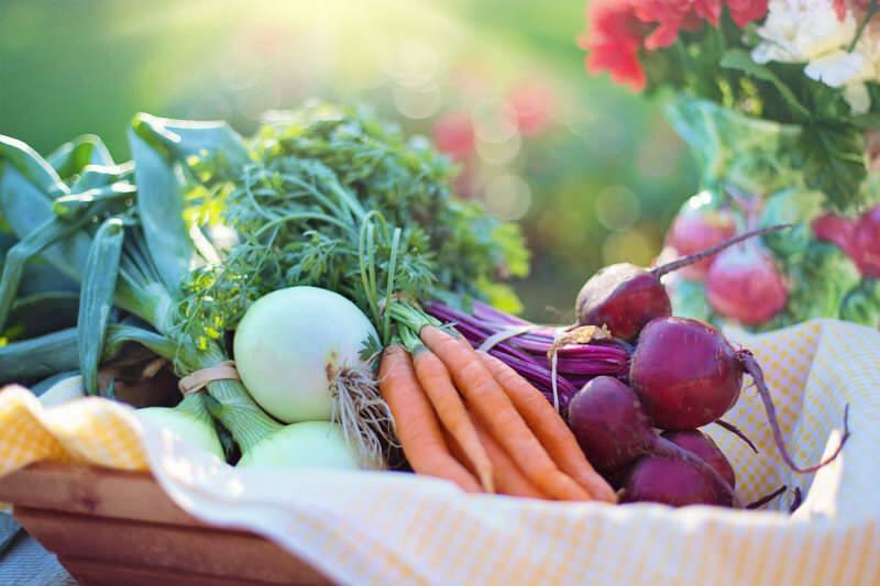 ¿Qué es la dieta vegetal? Como hacer una dieta vegetal