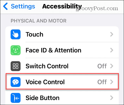 Desbloquea tu iPhone con tu voz