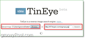 Captura de pantalla de TinEye: buscar en su imagen duplicados y versiones más grandes