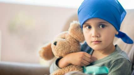 ¿Qué es el cáncer de sangre (leucemia)? Síntomas y tratamiento de la leucemia en niños.