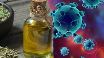 ¿El aceite de tomillo es bueno para el coronavirus? ¿Cuáles son los beneficios del té de orégano y tomillo?