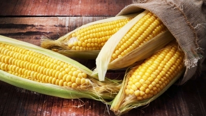 ¿Cuáles son los beneficios del maíz? ¿Bebes el jugo de maíz hervido?