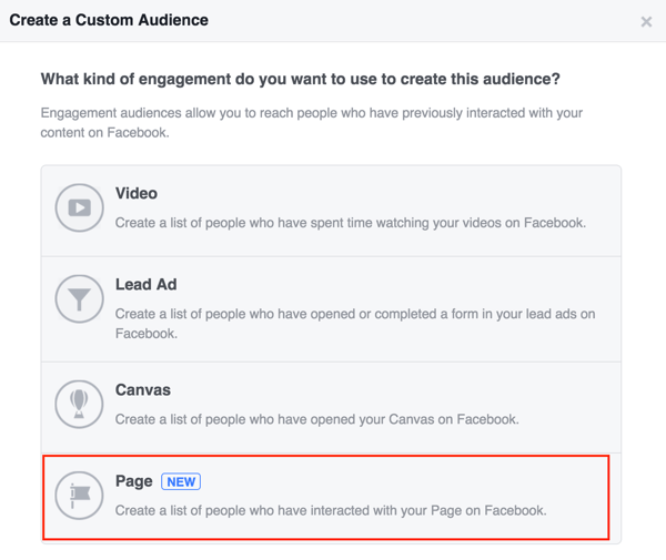 Elija Página para crear su audiencia personalizada de Facebook.