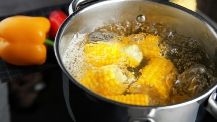 ¿Cómo hacer maíz hervido en casa? ¿Cómo quitar el maíz hervido?
