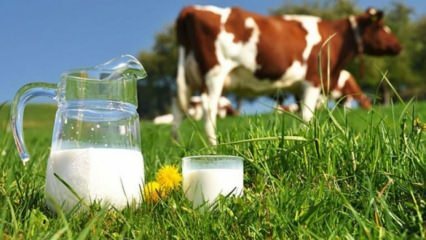 ¿Qué es la alergia a la leche? ¿Cuándo pasa la alergia a la leche en los bebés? Alergia a la leche de vaca ...