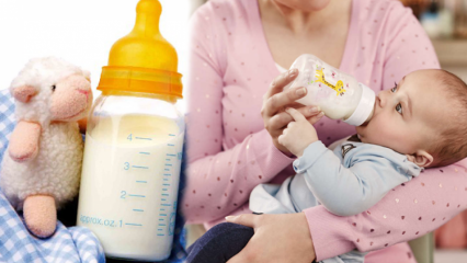 ¿Cómo preparar comida para bebés en casa? Recetas nutritivas de comida para bebés