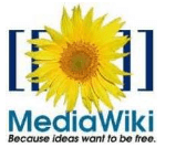 Complemento MediaWiki para Microsoft Word 2010 y 2007
