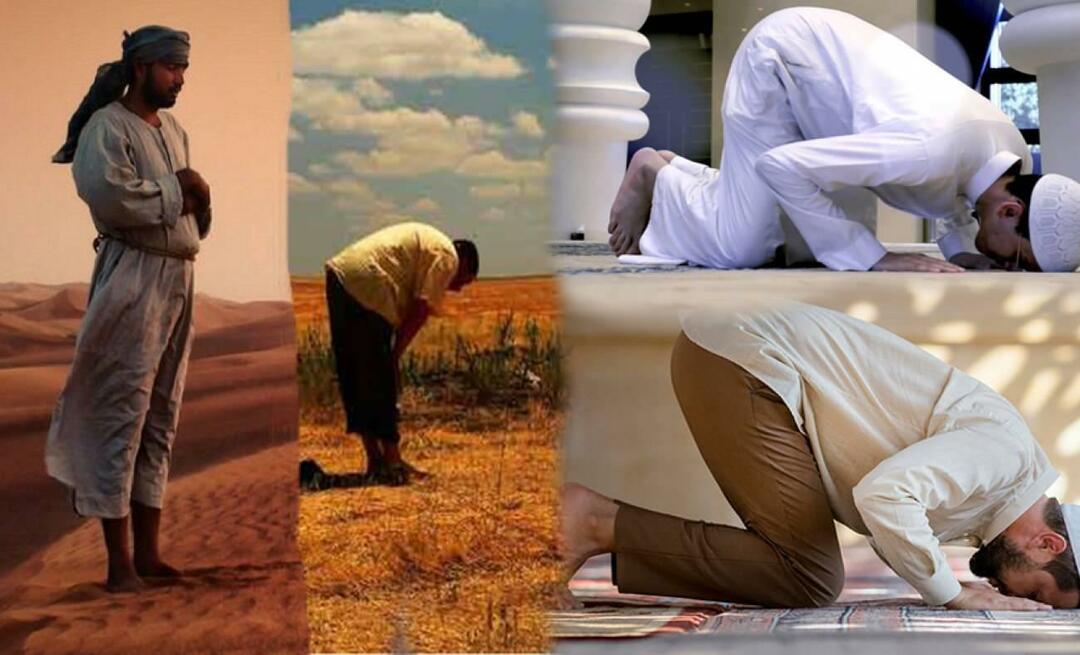 ¿Qué significan los movimientos del cuerpo en la oración? ¿Cuál es la sabiduría de estar de pie, inclinarse y dos postraciones?
