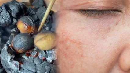 ¡Mezcla de aceite de nuez y oliva que elimina imperfecciones y marcas de quemaduras en tu rostro!