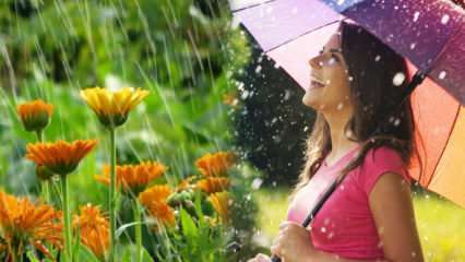 ¿Cura la lluvia de abril? ¿Cuáles son las oraciones para leer en el agua de lluvia? Los beneficios de la lluvia de abril