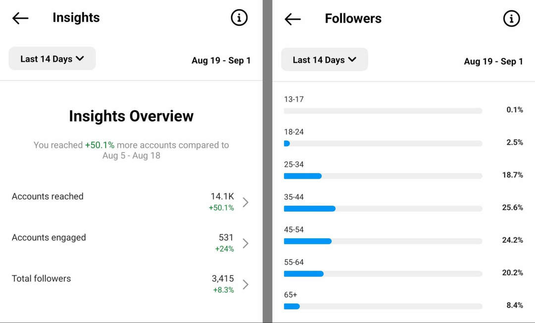 cómo-comprobar-audience-insights-on-instagram-app-overview-followers-example-3