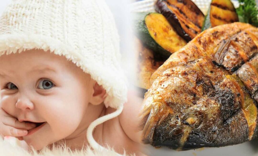 ¿Cuándo dar pescado a los bebés? ¿Cómo dar pescado a los bebés y cómo cocinarlo?