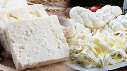 ¿Cómo entender el buen queso? Consejos para elegir queso
