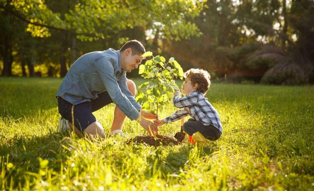 ¿Cuáles son las formas de inculcar el amor por la naturaleza en los niños? ¿Cómo explicar la importancia de la naturaleza a los niños?