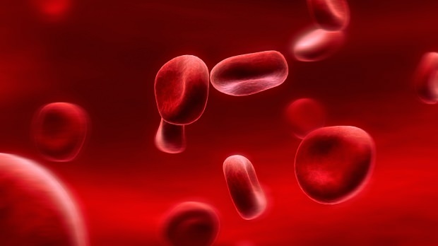 ¿Qué es una dieta de grupo sanguíneo? Como se hace