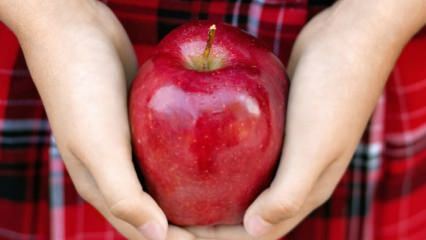 ¿Cómo se evalúan las manzanas podridas? 