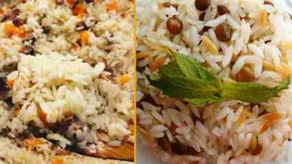 ¿Cuáles son las variedades de arroz? Las recetas de arroz más diversas y completas