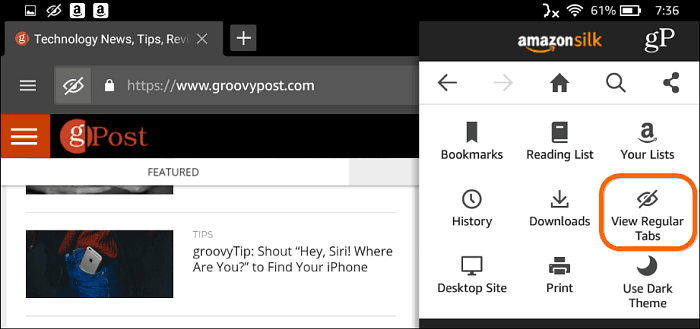 Silk Browser Navegación Privada