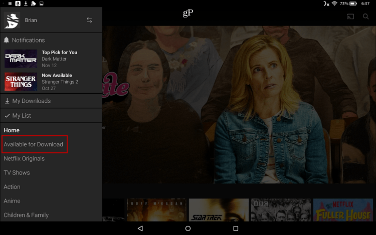 Descargar Netflix to Fire HD 10