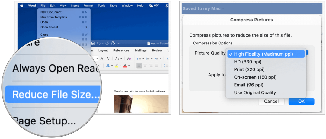 Microsoft Word en Mac reduce el tamaño del archivo