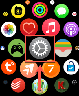 aplicación de configuración de Apple Watch