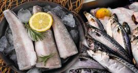 ¿Cómo se almacena el pescado? ¿Cuáles son los trucos para mantener el pescado en el congelador?