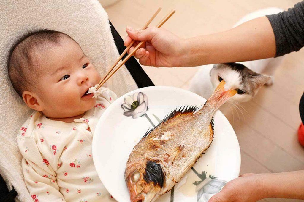alimentacion de pescado al bebe