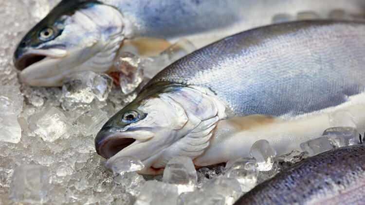 ¿Cambia el sabor del pescado tirado en el congelador?