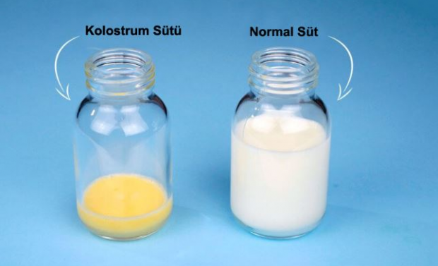 ¿Cuáles son los beneficios de la leche de calostro para el bebé? Diferencias con la leche materna.