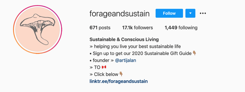 ejemplo de perfil de Instagram de @forageandsustain con una nota en la información de su perfil para hacer clic en el enlace de biografía para obtener más información