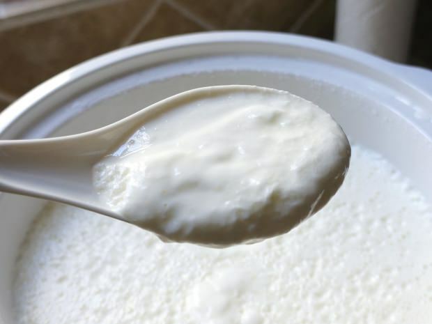 receta de yogur más fácil