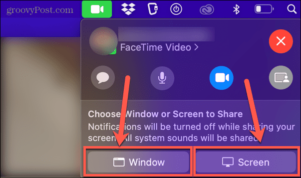 ventana de facetime o compartir pantalla